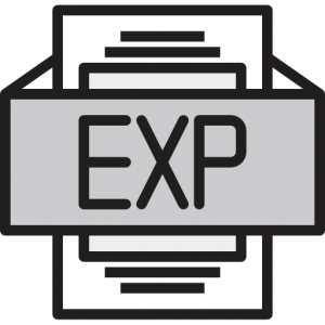 EXP Icon